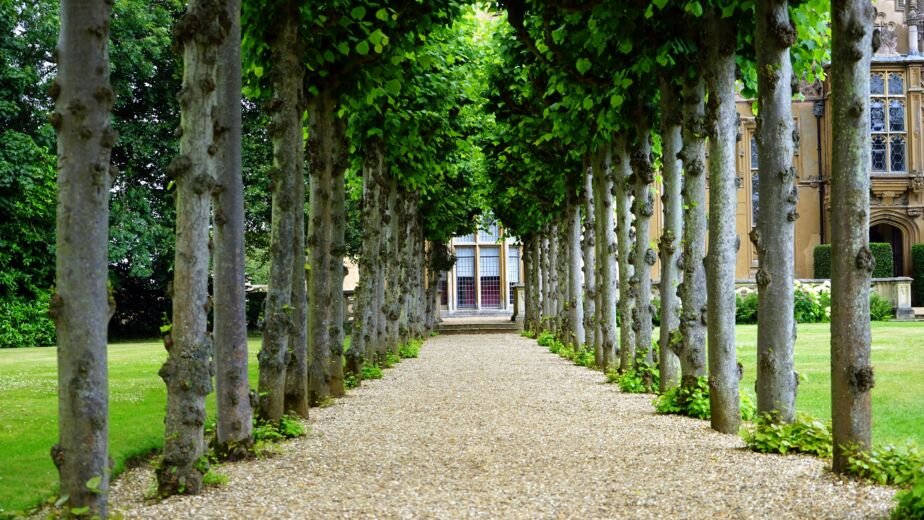 Acheter jeune : comment un bien immobilier à 30 ans peut financer votre retraite à 50 ans